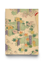 CARNETS NOTES ET LECTURES - JAPON