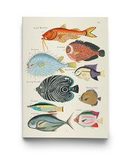 CARNETS NOTES ET LECTURES - OCEANS