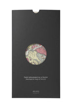 CARTE BNF GLACIERS