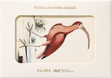 LIVRES D'IMAGES - SOURCES