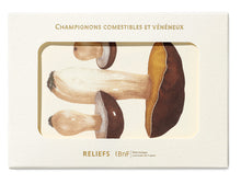 LIVRES D'IMAGES - ALIMENTS