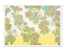 RISOGRAPHIES - UN HERBIER