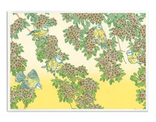 RISOGRAPHIES - UN HERBIER