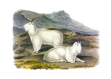 CARTE POSTALE LIVRES D'IMAGES