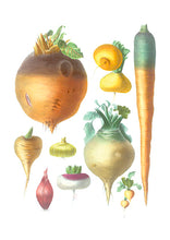 CARTE POSTALE LIVRES D'IMAGES