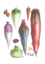 CARTE POSTALE LIVRES D'IMAGES