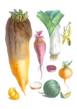 CARTE POSTALE LIVRES D'IMAGES