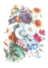 CARTE POSTALE LIVRES D'IMAGES