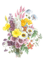 CARTE POSTALE LIVRES D'IMAGES