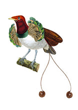 CARTE POSTALE LIVRES D'IMAGES