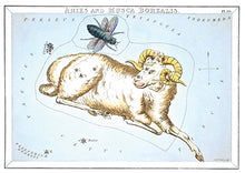 CARTE POSTALE LIVRES D'IMAGES