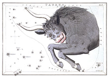 CARTE POSTALE LIVRES D'IMAGES