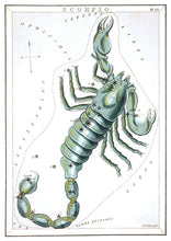 CARTE POSTALE LIVRES D'IMAGES