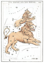 CARTE POSTALE LIVRES D'IMAGES