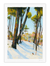DIGIGRAPHIES - PROMENADE EN HIVER COUVERTURE