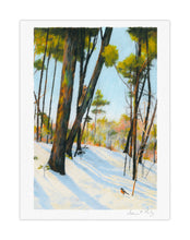 DIGIGRAPHIES - PROMENADE EN HIVER COUVERTURE