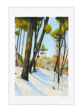 DIGIGRAPHIES - PROMENADE EN HIVER COUVERTURE