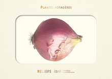 LIVRES D'IMAGES