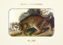 LIVRES D'IMAGES