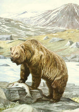 CARNET NOTES ET LECTURES - GLACIERS